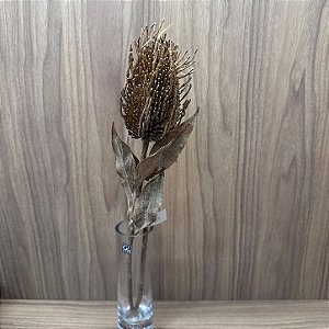 Haste Protea Envelhecida 70cm