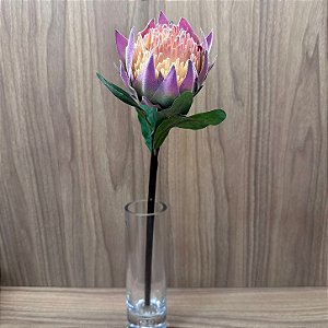 Haste Protea 43cm