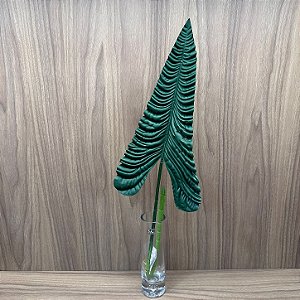 Haste de Complemento Verde Siliconado 86cm