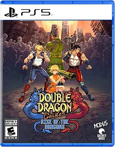 Double Dragon Gaiden Rise Of The Dragons PS5 Midia Fisica