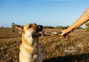 Mordedor Natural - Rocambole Mineiro Graúdo - Pele Bovina Desidratada (1un) - Alecrim Pet