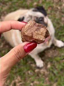 Petisco Natural para cães - Churrasquinho suíno - Pulmão suíno Desidratado 25g - Pet Bem