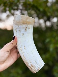 Mordedor Natural Chifre Bovino Cortado - 1 un - Pet Bem