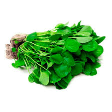 AGRIÃO HIDROPÔNICO MAÇO.