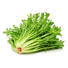 CHICORIA CRESPA MAÇO.