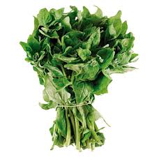 ESPINAFRE COMUM MAÇO.