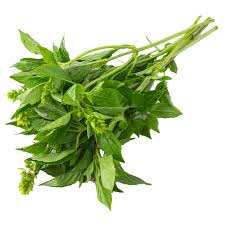 MANJERICÃO INDUSTRIAL