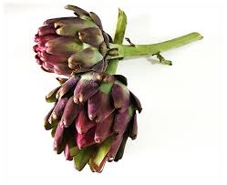 ALCACHOFRA (TIPO 14 ) 1 UNID.