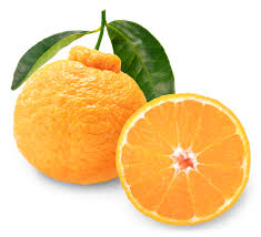 MEXERICA DECOPON 1 UNID. APROX. 350GR.