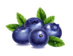 MIRTILO BLUEBERRY EMB. 125GR.