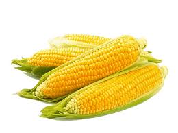 MILHO VERDE BDJ 1KG.