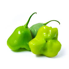 PIMENTA CAMBUCI BDJ. 200GR.