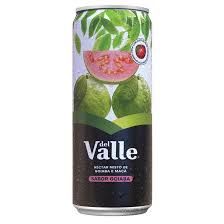 SUCO DEL VALLE GOIABA 290ML