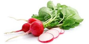 RABANETE RODELA HIG. 200G