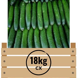 PEPINO CONSERVA A3 LOJA