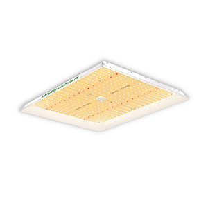 PAINEL DE LED MARS HYDRO 300W TSW2000 PARA CULTIVO INDOOR