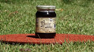Geleia Artesanal Gourmet de Cebola Roxa