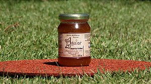 Geleia Artesanal Gourmet de Mexerica Ponkan