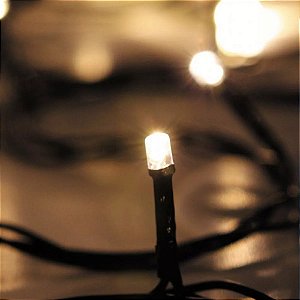 CORDAO LUMINOSO TASCHIBRA 100 LEDS 8 FUN