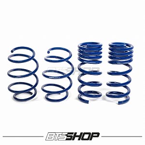 Molas Esportivas Ford Mustang GT 2018 / 2019 / 2020 (todos com Magneride)