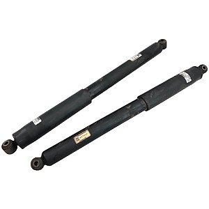Amortecedor Traseiro Completo Original Ford F-150 20-23(Par)