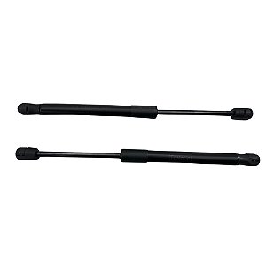 Amortecedor De Porta Malas Original Ford Mustang 18-21 (Par)