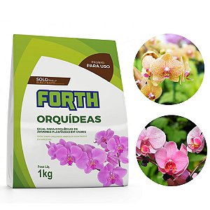 Substrato Forth Orquídeas 1 kg
