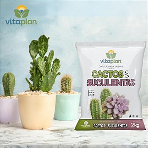 Substrato Cactos e Suculentas Vitaplan Condicionador de Solo Classe A Pronto para Uso 2kg