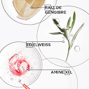 Kit Kérastase Ampola Genesis Collagen Peptide+ Curl Manifesto Glycerin 12ml