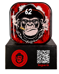 Slick de Vidro Monkey 62éoddd
