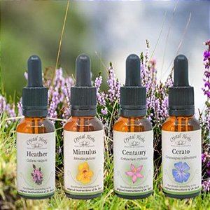 Terapia com Florais de Bach Online — Equilíbrio Emocional Natural e Personalizado