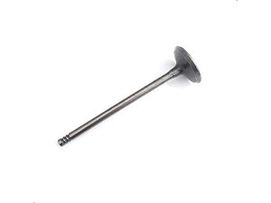 Válvula de Admissão Renault Logan 1.0 12V - 2017 até 2022 - 132011477R