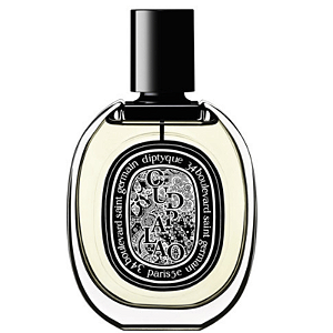 Oud Palao - Diptyque