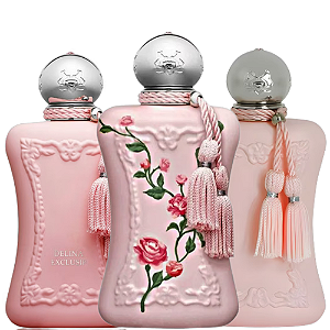 Kit Delina Prestige Trio - 3 Decants de 5ml