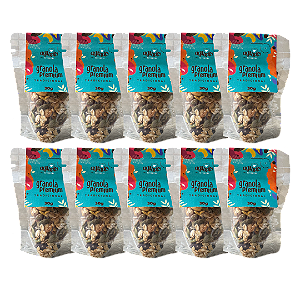 Granola de Bolso Premium Tradicional - 10und - 300g