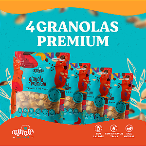 Combo Promocional 4 pacotes Granola Premium Tradicional - 400g