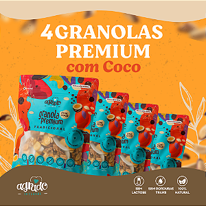 Combo Promocional 4 pacotes Granola Premium Com Coco - 400g