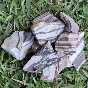 Jaspe Zebra Marrom Bruta