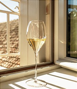 JOGO 6 TAÇAS CRISTAL VINHO/ CHAMPAGNE / ESPUMANTE 250 H X 84 DIAM MM - 425 ML - LINHA FINO