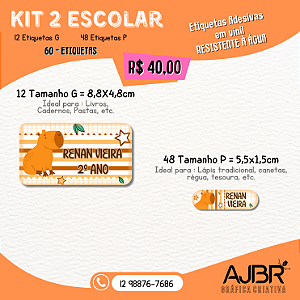 KIT ESCOLAR 02 - 60 ADESIVOS VINIL