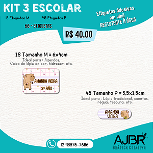 KIT ESCOLAR 03 - 66 ADESIVOS VINIL