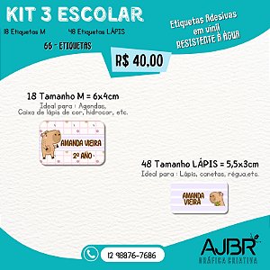 KIT ESCOLAR 03 - 66 ADESIVOS VINIL