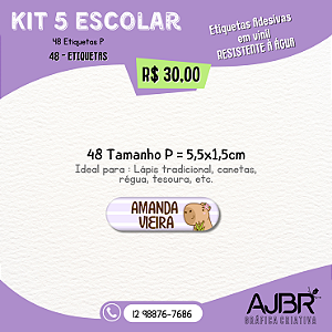 KIT ESCOLAR 05 - 48 ADESIVOS VINIL
