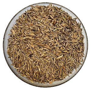 Sementes de Azevem