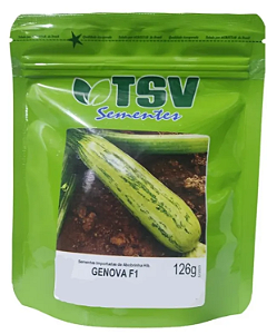 Sementes de Abobrinha Híbrida GENOVA F1 Pcte C/ 1.000 Sementes - TSV
