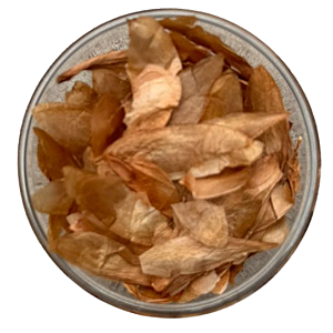 Sementes de Cedro Rosa 100 Gr (Cedrela fissilis Vell) - 800 unidades