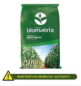 Semente Milho Resistente Roundup e Lagarta - 2.000 Sementes
