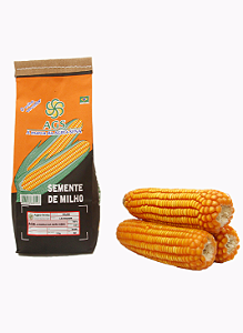 Semente de Milho Lavrador 1 kg