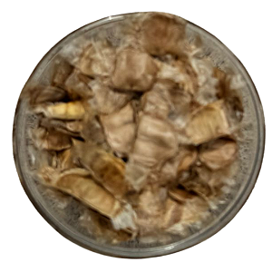 Sementes de Ipê Roxo - 1kg