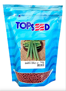 Semente de Quiabo Santa Cruz 47 tratadas - 1kg- TopSeed
